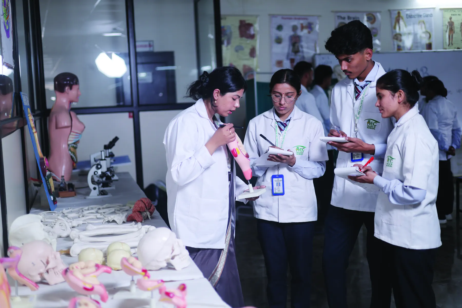 Nursing students studying anatomical models in the nursing lab