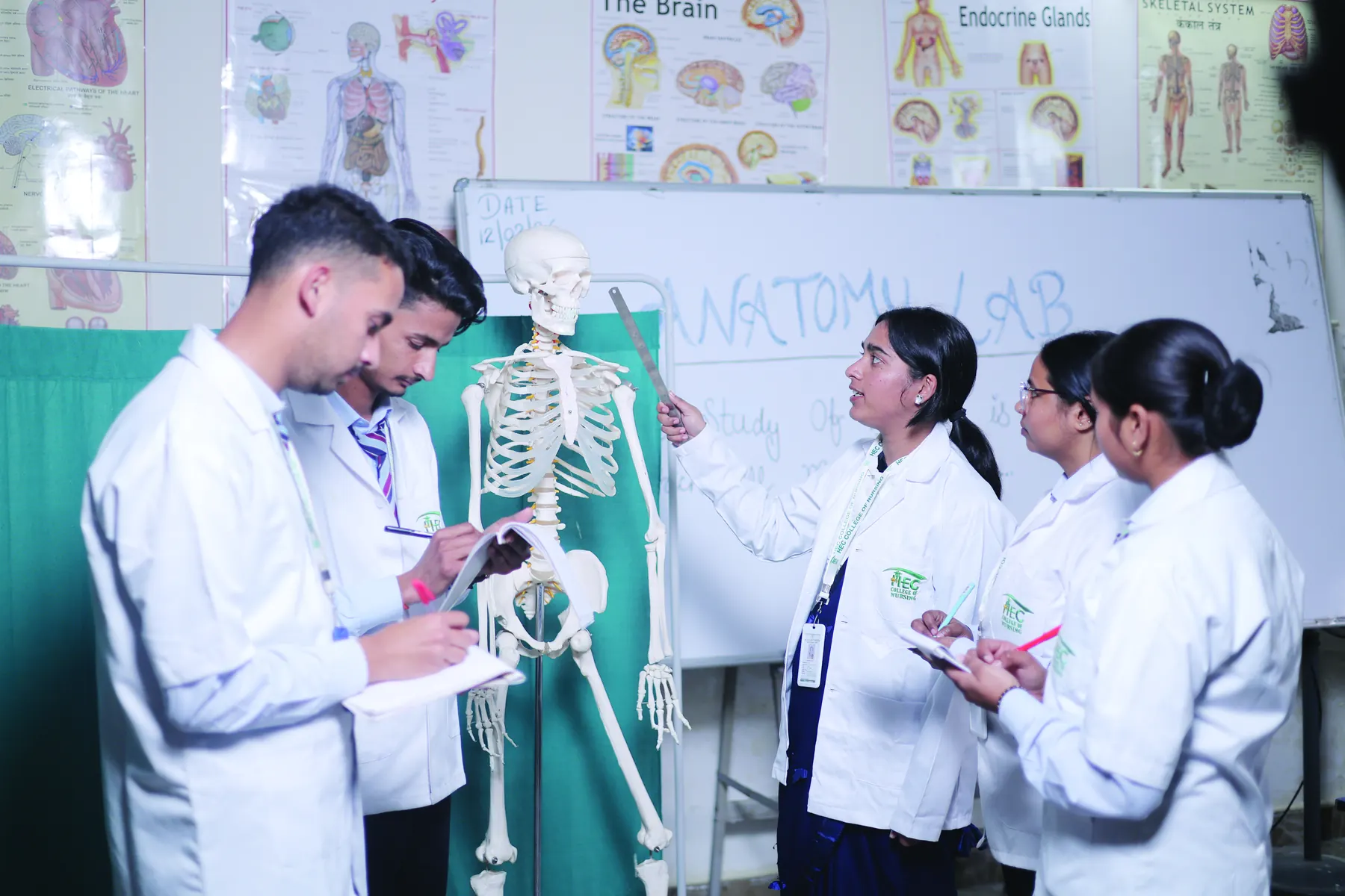 Nursing students learning anatomy with a skeleton model