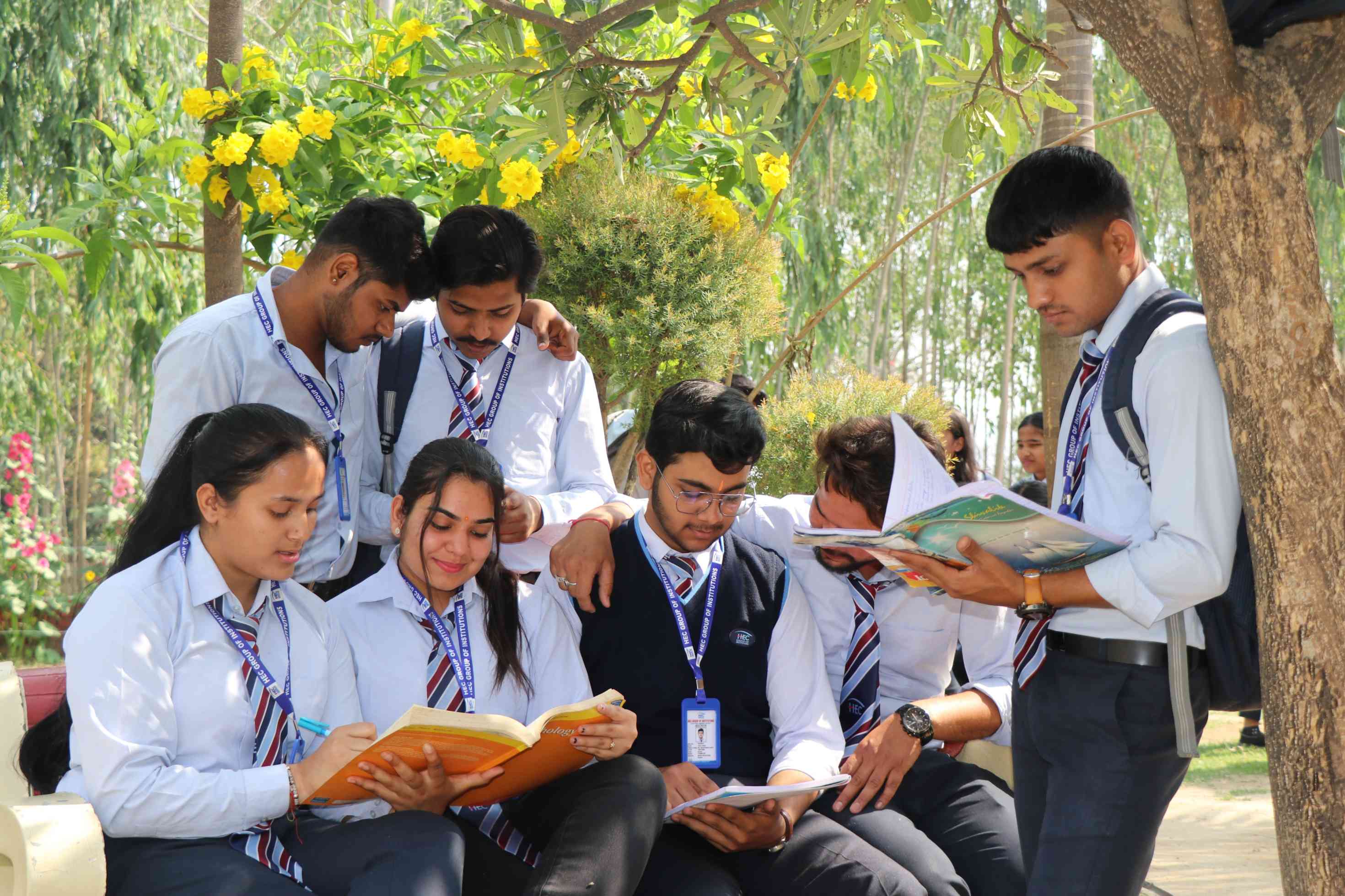 Students studying
